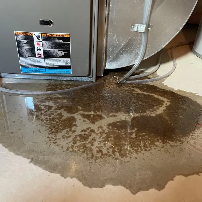 Appliance Leak Cleanup in Tyrone, GA