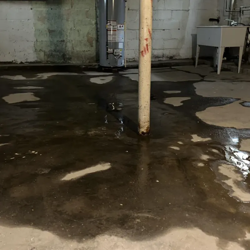 Emergency Water Extraction And Removal in Tyrone, GA